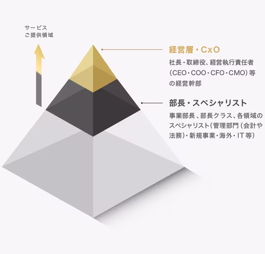 Exective searchのサービス提供領域